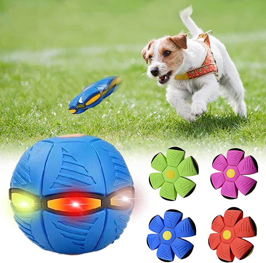 Best For Your Pet™ Dog Frisbee