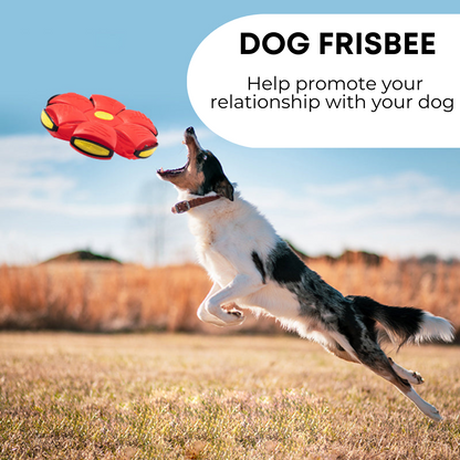 Best For Your Pet™ Dog Frisbee