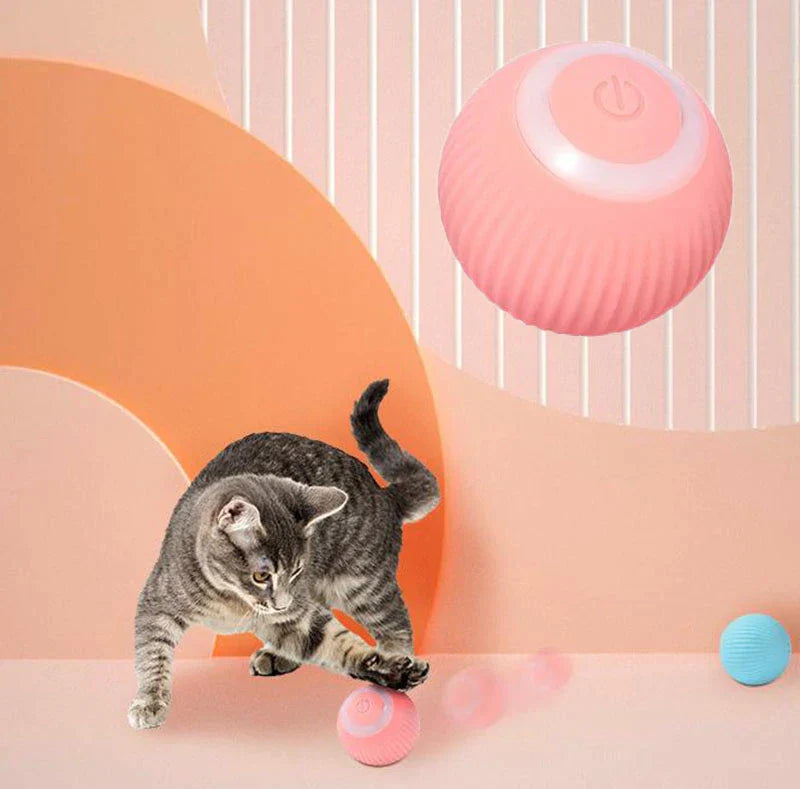 Best For Your Pet™ Interactive Ball