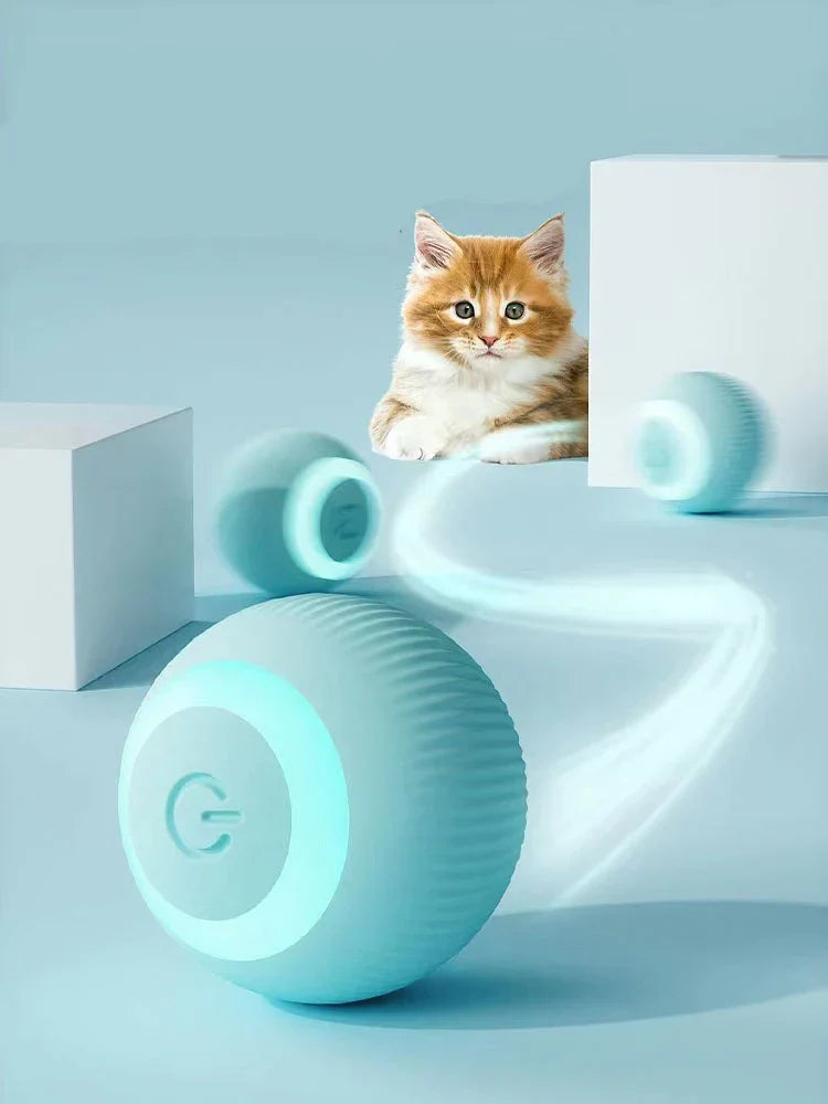 Best For Your Pet™ Interactive Ball