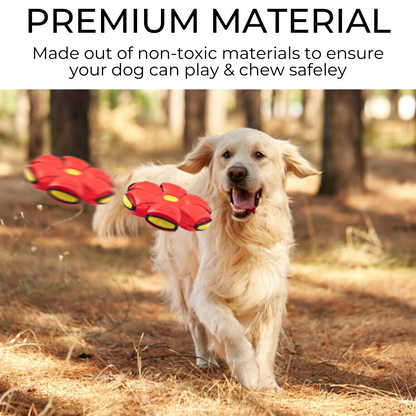 Best For Your Pet™ Dog Frisbee