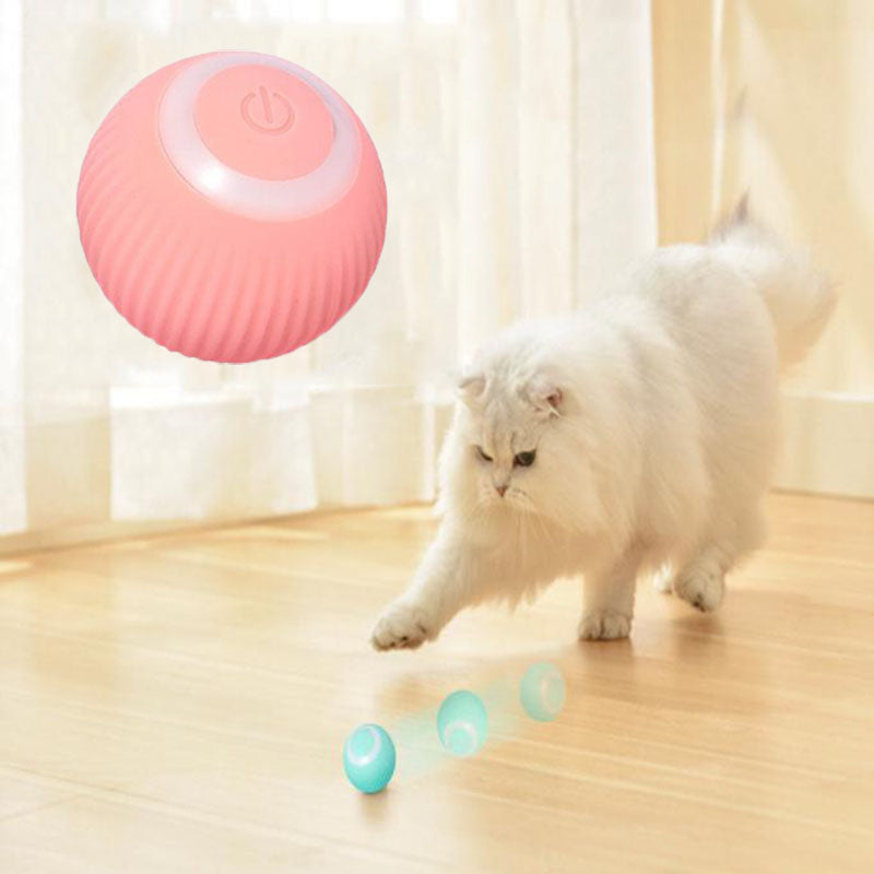 Best For Your Pet™ Interactive Ball
