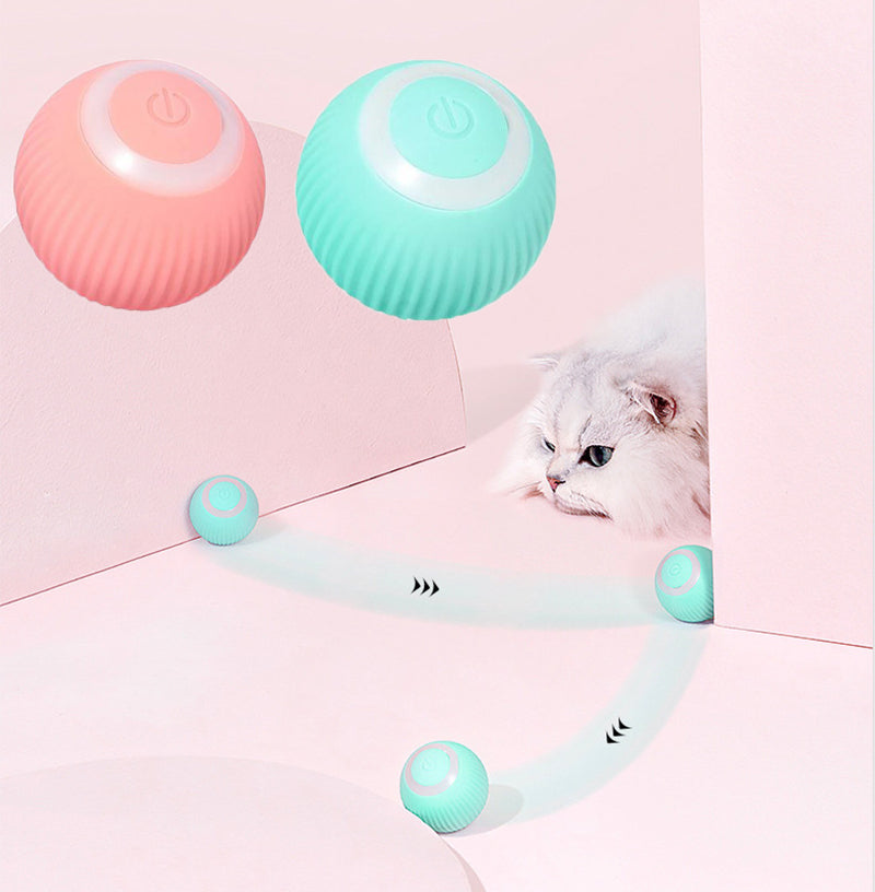 Best For Your Pet™ Interactive Ball